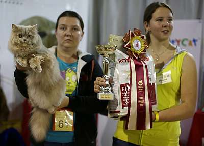   '--' 22-23  2014 6_61_169A8555 copy.jpg